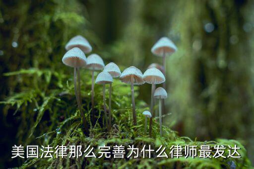 為什么美國賠償那么高，美國人為什么那么高