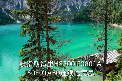 什么是hs300板塊，HS300是什么期貨合約