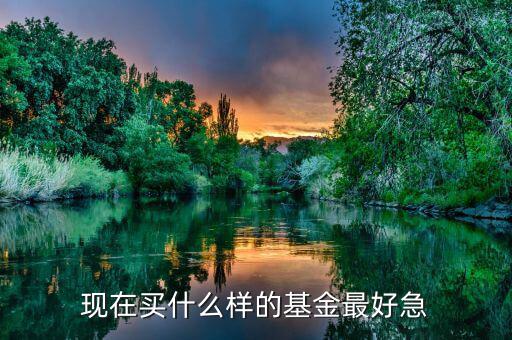 現(xiàn)在買什么基金最好，現(xiàn)在買哪個(gè)基金好