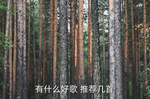 什么是終生董事，一個人懂事要多久