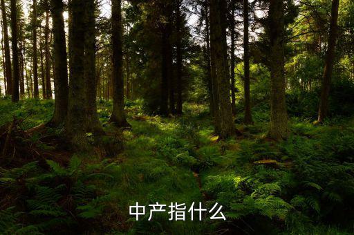 中產(chǎn)消費什么，網(wǎng)易電商平臺帶給中產(chǎn)消費者的核心價值是什么