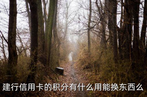 建行信用卡積分能兌換什么，請問下建行信用卡1萬多積分可以換什么