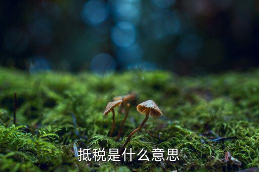 公司抵稅是什么意思，抵稅是什么意思
