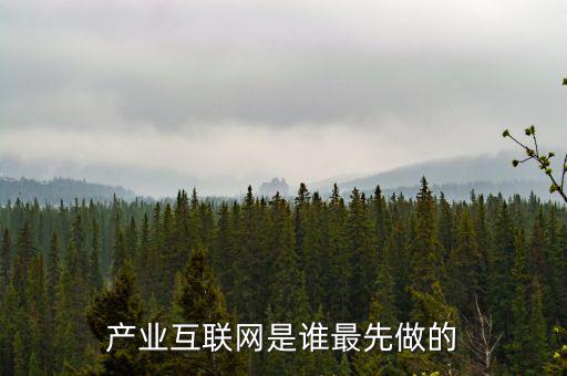 產(chǎn)業(yè)互聯(lián)網(wǎng)是什么龍頭，產(chǎn)業(yè)互聯(lián)網(wǎng)是誰最先做的
