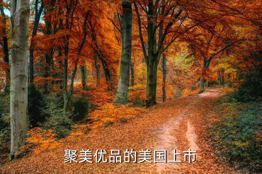 聚美優(yōu)品為什么要上市，根據(jù)聚美優(yōu)品案例談?wù)勈裁词莍po
