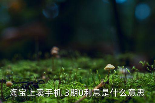 三零分期什么意思，淘寶上賣手機(jī) 3期0利息是什么意思