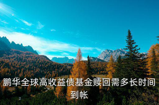 鵬華基金充值什么時(shí)候到賬，急急急鵬華基金網(wǎng)上交易