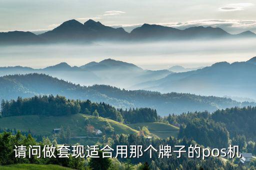 套現(xiàn)pos機(jī)什么樣的好，請問做套現(xiàn)適合用那個(gè)牌子的pos機(jī)