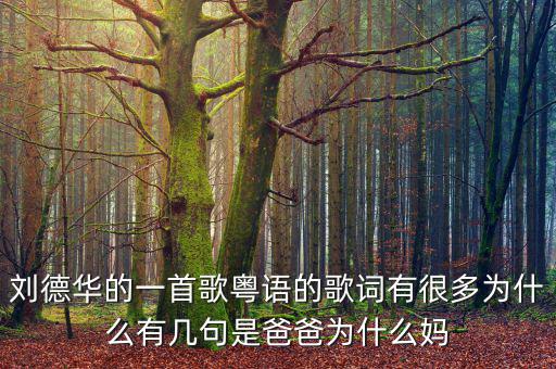 法為什么對is空襲，劉德華的一首歌粵語的歌詞有很多為什么有幾句是爸爸為什么媽