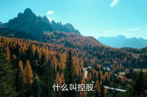 什么是控股關(guān)系，什么叫控股