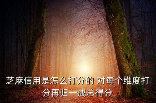芝麻信用評(píng)分依據(jù)是什么，芝麻信用以什么依據(jù)評(píng)分