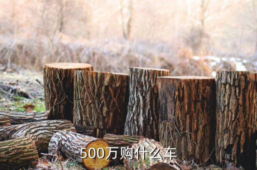 500萬身家開什么車，500萬人民幣可買什么車