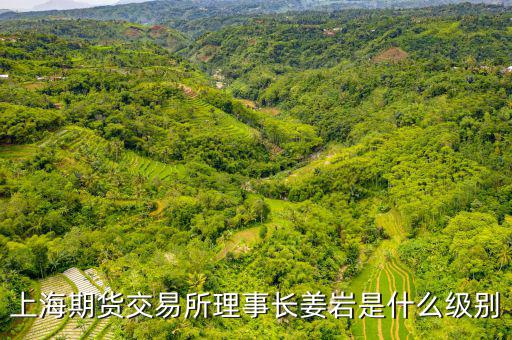 上交所理事長什么級別，上海期貨交易所理事長姜巖是什么級別