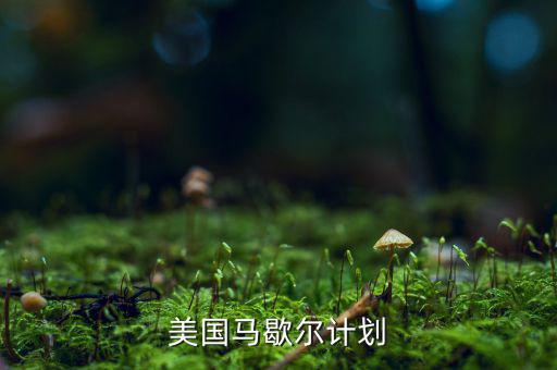 馬歇爾計劃內(nèi)容和實質(zhì)是什么，馬歇爾計劃