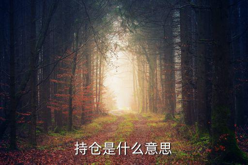 什么是買持倉(cāng)，持倉(cāng)是什么意思