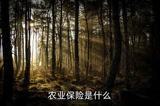 傳統(tǒng)農(nóng)業(yè)保險(xiǎn)主要保什么風(fēng)險(xiǎn)，農(nóng)業(yè)保險(xiǎn)是什么