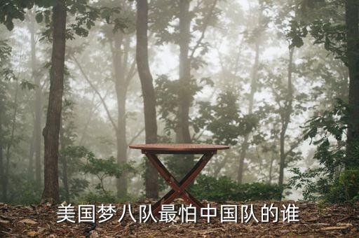 雷思海美國最怕中國什么，美國夢(mèng)八隊(duì)最怕中國隊(duì)的誰