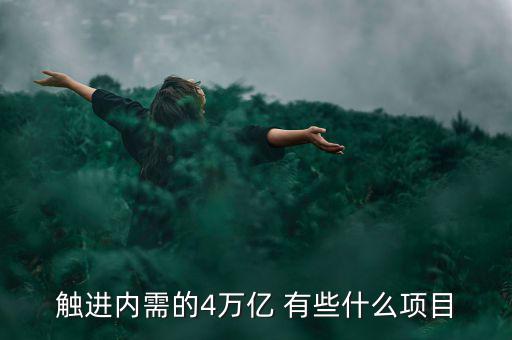 觸進內(nèi)需的4萬億 有些什么項目