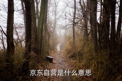 京東自營(yíng)旗艦店是什么意思，京東自營(yíng)店什么意思