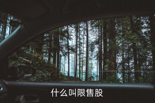什么是上市公司限售股，什么叫限售股份