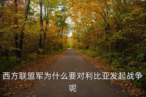 歐債危機下的法國為什么要發(fā)動利比亞戰(zhàn)爭，西方聯(lián)盟軍為什么要對利比亞發(fā)起戰(zhàn)爭呢