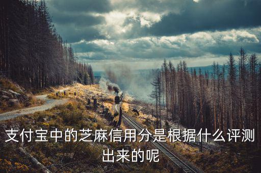 支付寶中的芝麻信用分是根據(jù)什么評(píng)測出來的呢