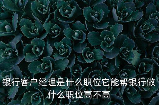 什么是銀行直銷客戶經(jīng)理，銀行客戶經(jīng)理是什么職位它能幫銀行做什么職位高不高