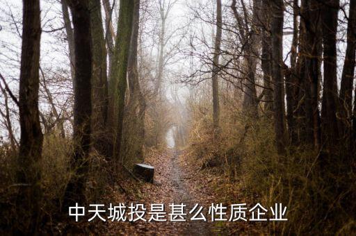 中天城投是什么概念，中天城投在這么些年的發(fā)展中涉及了哪些行業(yè)