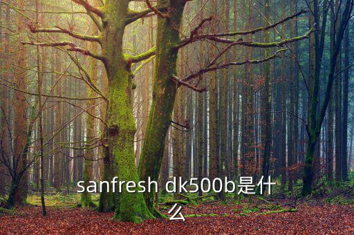 金鷹500b是什么，EOS 500B 是什么Rin的樂器