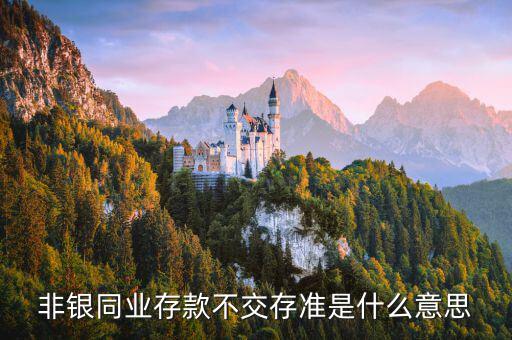 什么是非銀同業(yè)存款，什么是銀行同業(yè)存款