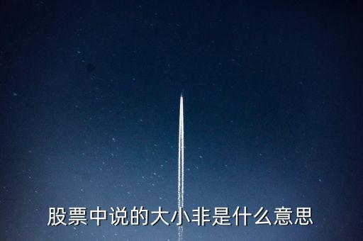 股市大小非是什么意思，股市中的大小非是指什么