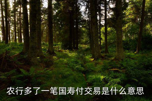 國壽交易是什么，農行多了一筆國壽付交易是什么意思