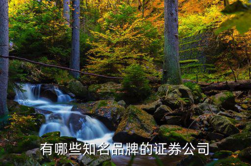 都有什么大牌股票，股票有哪些以前著名股票