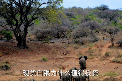 為什么投資白銀，我想問(wèn)下白銀是不是最好的投資