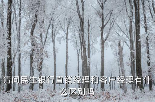 請(qǐng)問民生銀行直銷經(jīng)理和客戶經(jīng)理有什么區(qū)別嗎