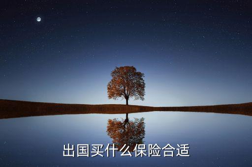 什么保險(xiǎn)長期在國外有用，什么保險(xiǎn)有去國外玩的保障啊