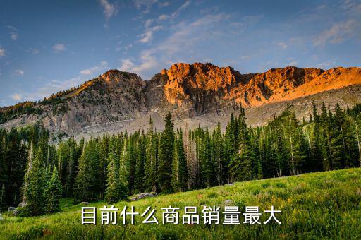 什么消費品最大市場，目前什么商品銷量最大