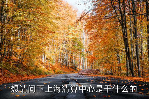 上海清算所做什么，想請(qǐng)問(wèn)下上海清算中心是干什么的