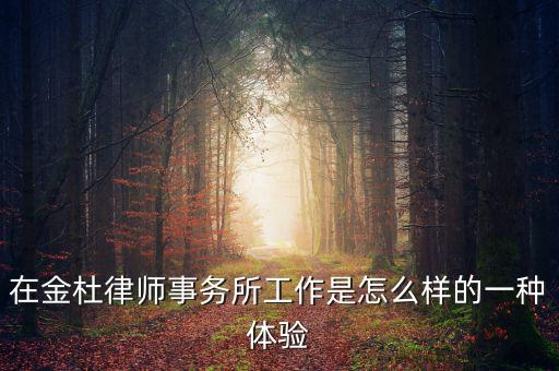 白彥春為什么離開金杜，在金杜律師事務所工作是怎么樣的一種體驗