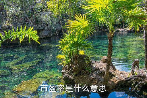 什么是市盈率，什么是市凈率和市盈率