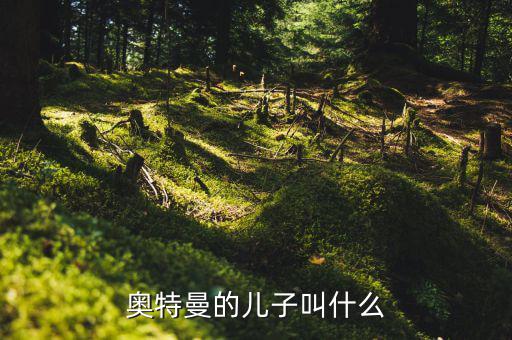 奧特佳老總兒子叫什么，奧特曼的兒子叫什么