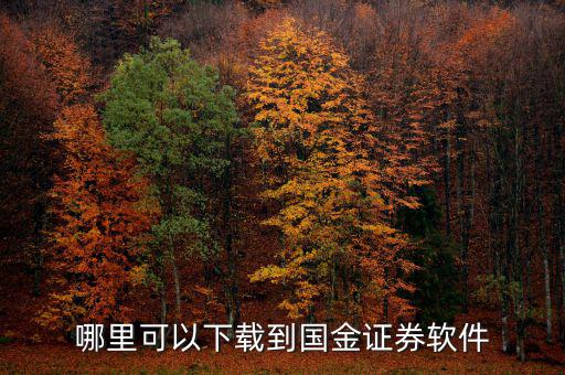 國(guó)金證券用的什么軟件，國(guó)金證券手機(jī)怎樣下載
