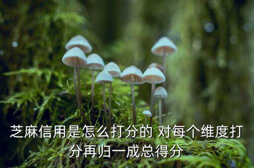 芝麻信用是怎么打分的 對每個(gè)維度打分再歸一成總得分