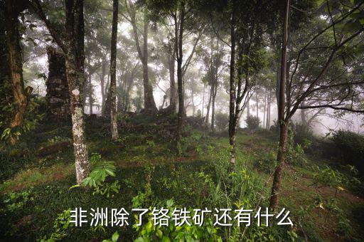 非洲有什么礦產(chǎn)資源，非洲哪些礦產(chǎn)豐富