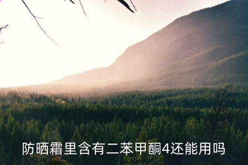什么里面有甲酮，什么是甲酮是羰基兩邊連兩個甲基嗎