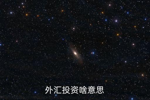 外匯融資是什么意思，外匯投資啥意思