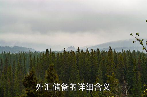外匯儲備包括什么，外匯儲備指什么是用黃金或紙幣來儲備