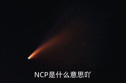 可比企業(yè)ncp是什么簡(jiǎn)稱，NCP是什么意思吖