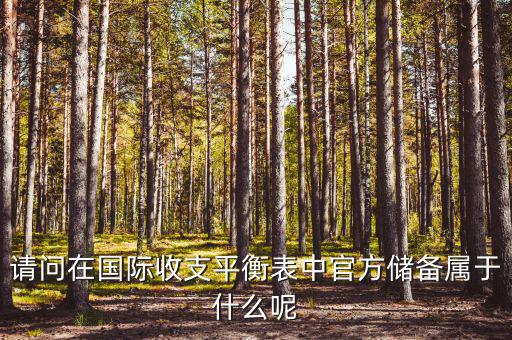 官方儲備資產(chǎn)包括什么，官方儲備資產(chǎn)包括固定資產(chǎn)嗎