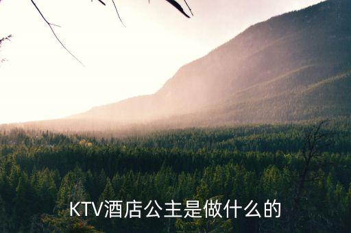 酒店出臺(tái)是干什么的，KTV酒店公主是做什么的